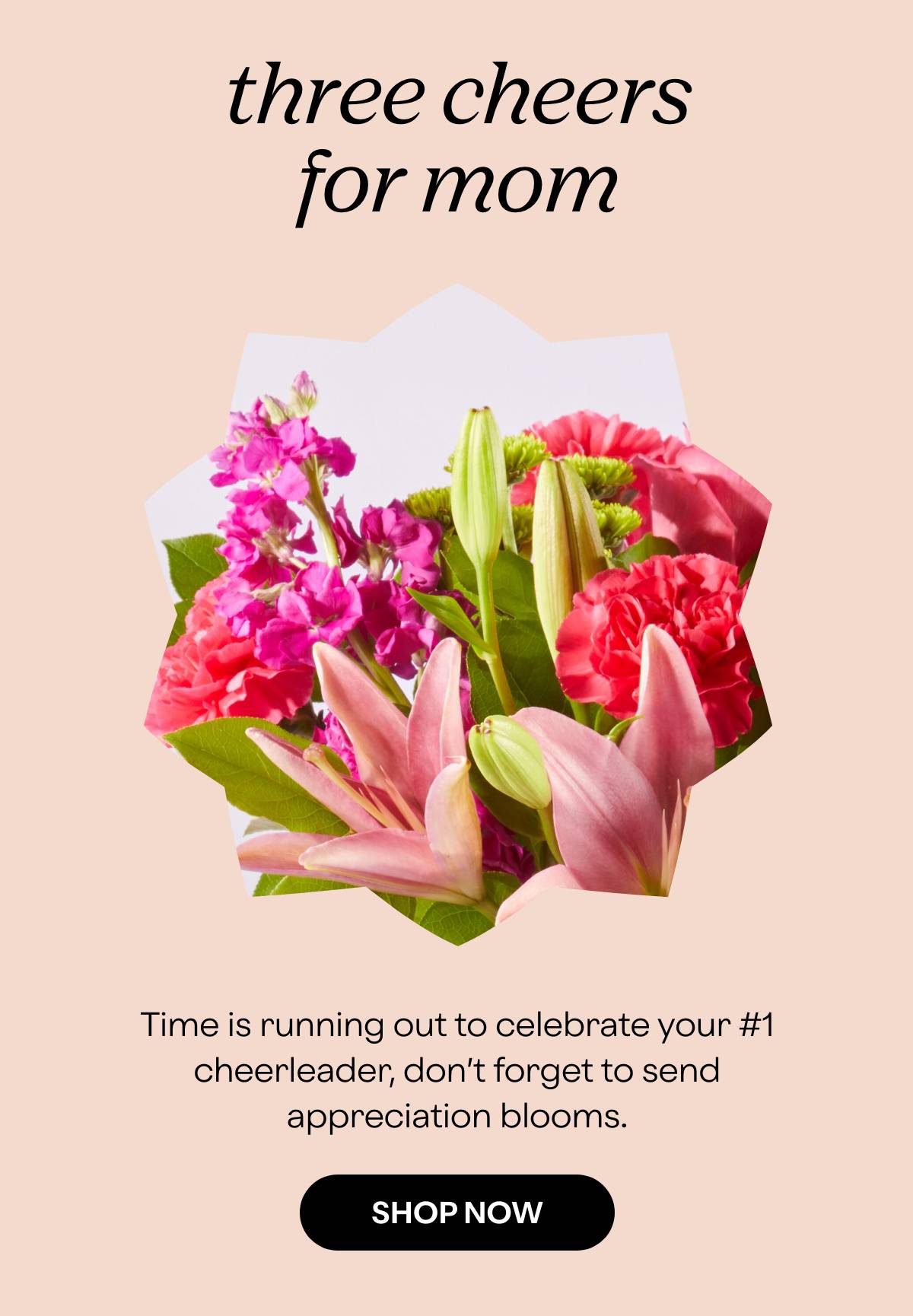three cheers for mom - Time is running out to celebrate your #1 cheerleader, don't forget to send appreciation blooms. - SHOP NOW 