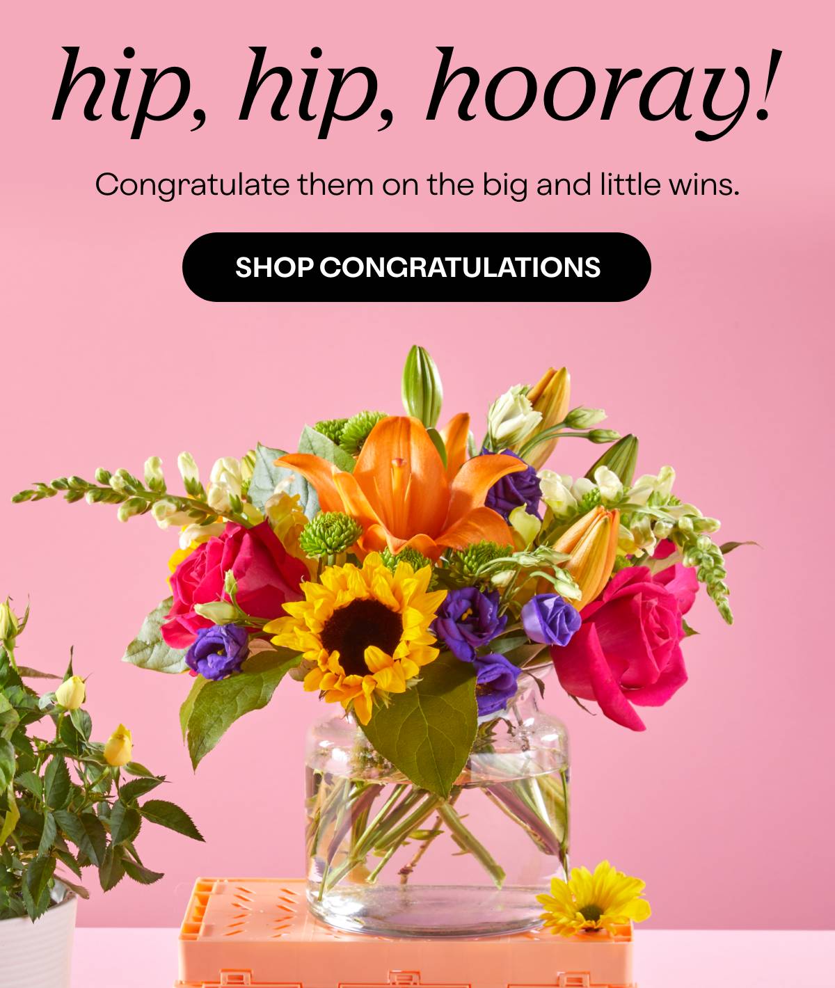 hip, hip, hooray! - Congratulate them on the big and little wins. - SHOP CONGRATULATIONS 