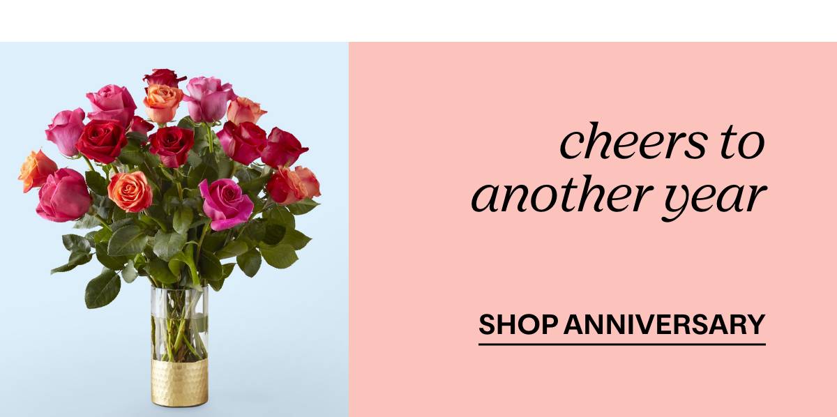 cheers to another year - SHOP ANNIVERSARY 