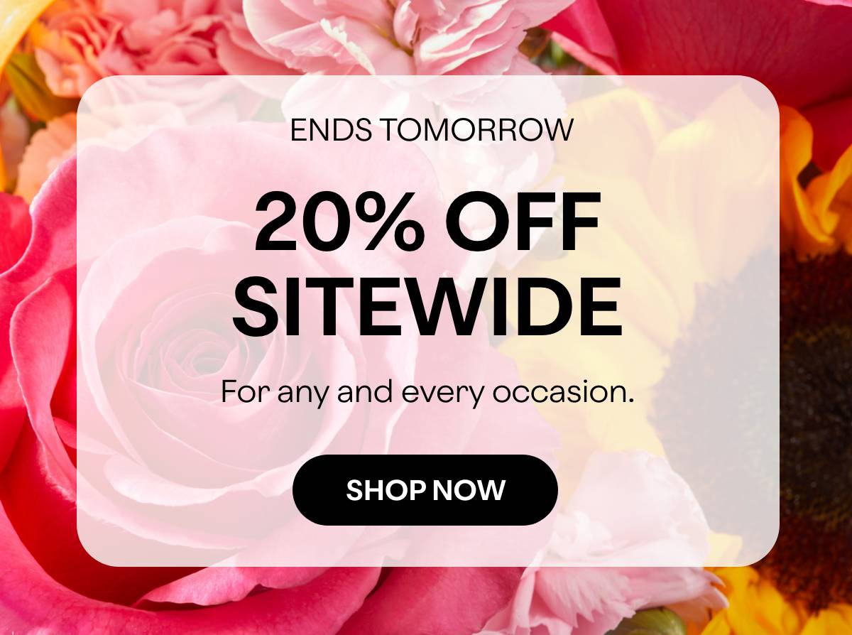 ENDS TOMORROW - 20% OFF SITEWIDE - For any and every occasion. - SHOP NOW 