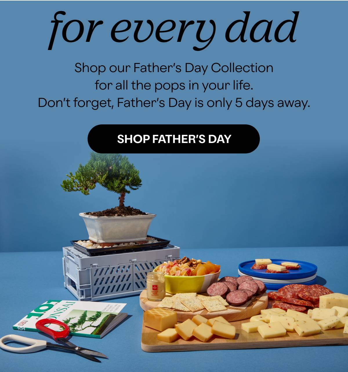 for every dad - Shop our Father's Day Collection for all the pops in your life. Don't forget, Father's Day is only 5 days away. - SHOP FATHER'S DAY 