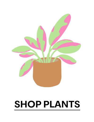 SHOP PLANTS 