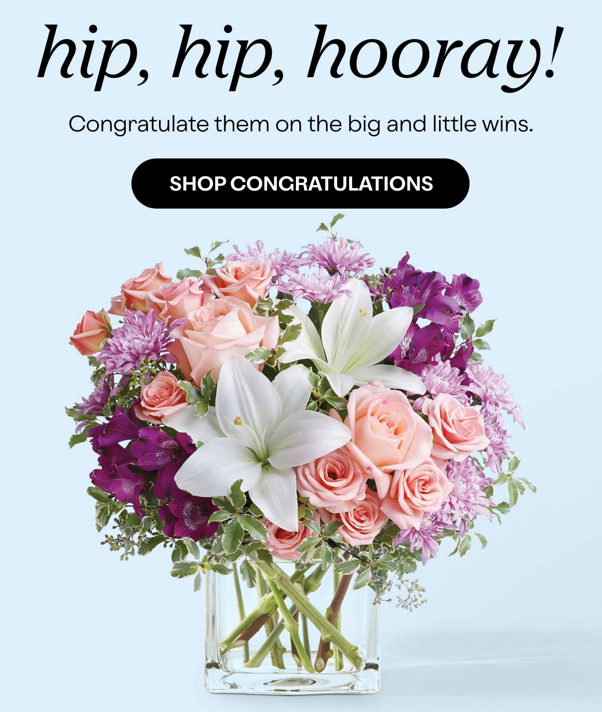hip, hip, hooray! - Congratulate them on the big and little wins. - SHOP CONGRATULATIONS 