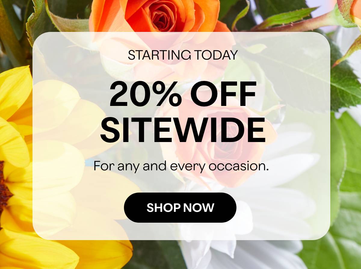 STARTING TODAY - 20% OFF SITEWIDE - For any and every occasion. - SHOP NOW 