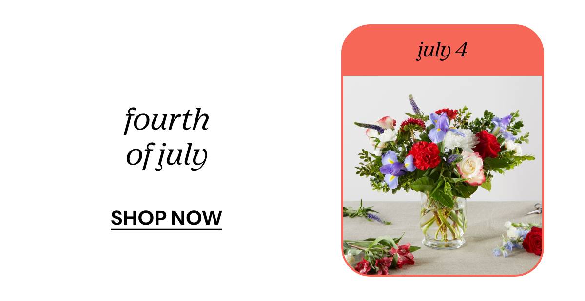 july 4- fourth of july - SHOP NOW 