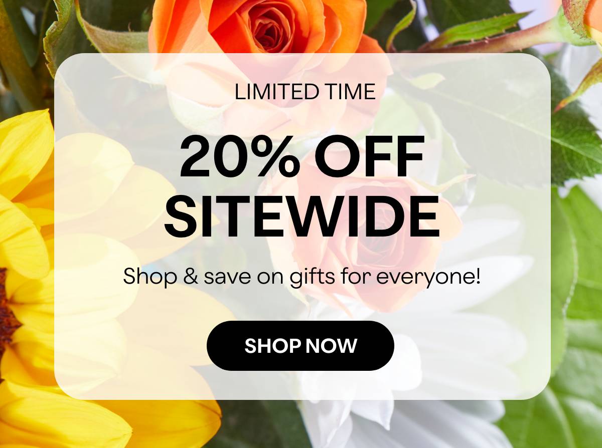 LIMITED TIME - 20% OFF SITEWIDE - Shop & save on gifts for everyone! - SHOP NOW 